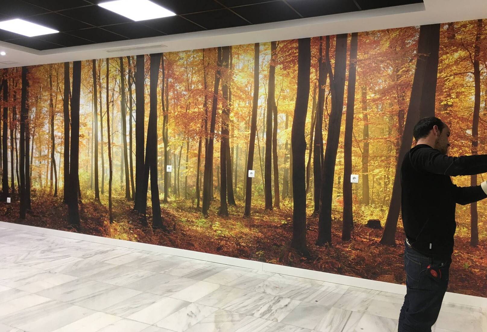 Fotomural personalizado decorando el pasillo de unas oficinas Rotusil Madrid