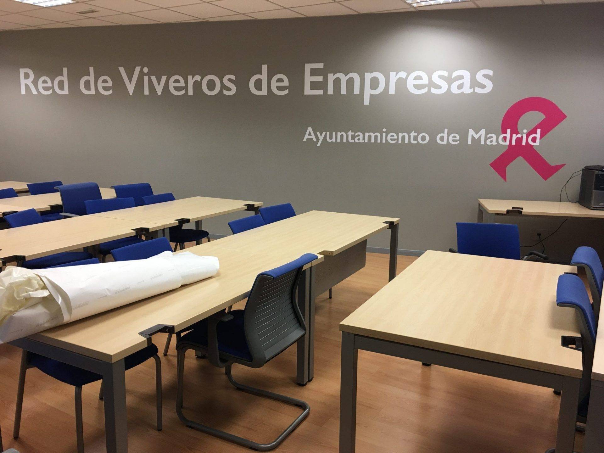 Rotulación de coche con vinilo de corte personalizado, en toda España